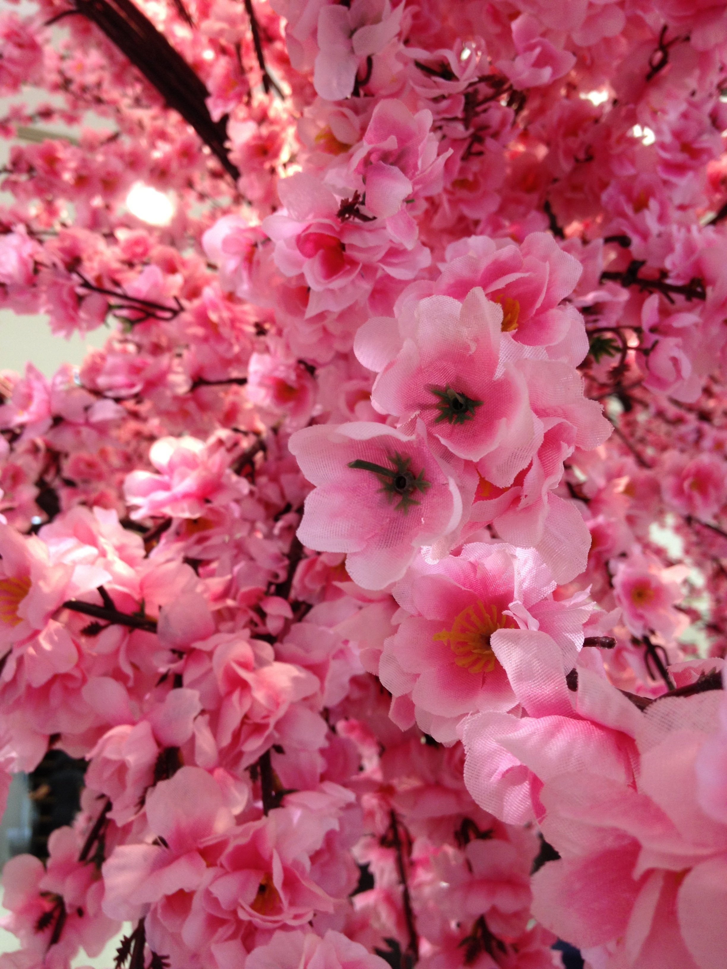 Borrowed Heritage floral installation