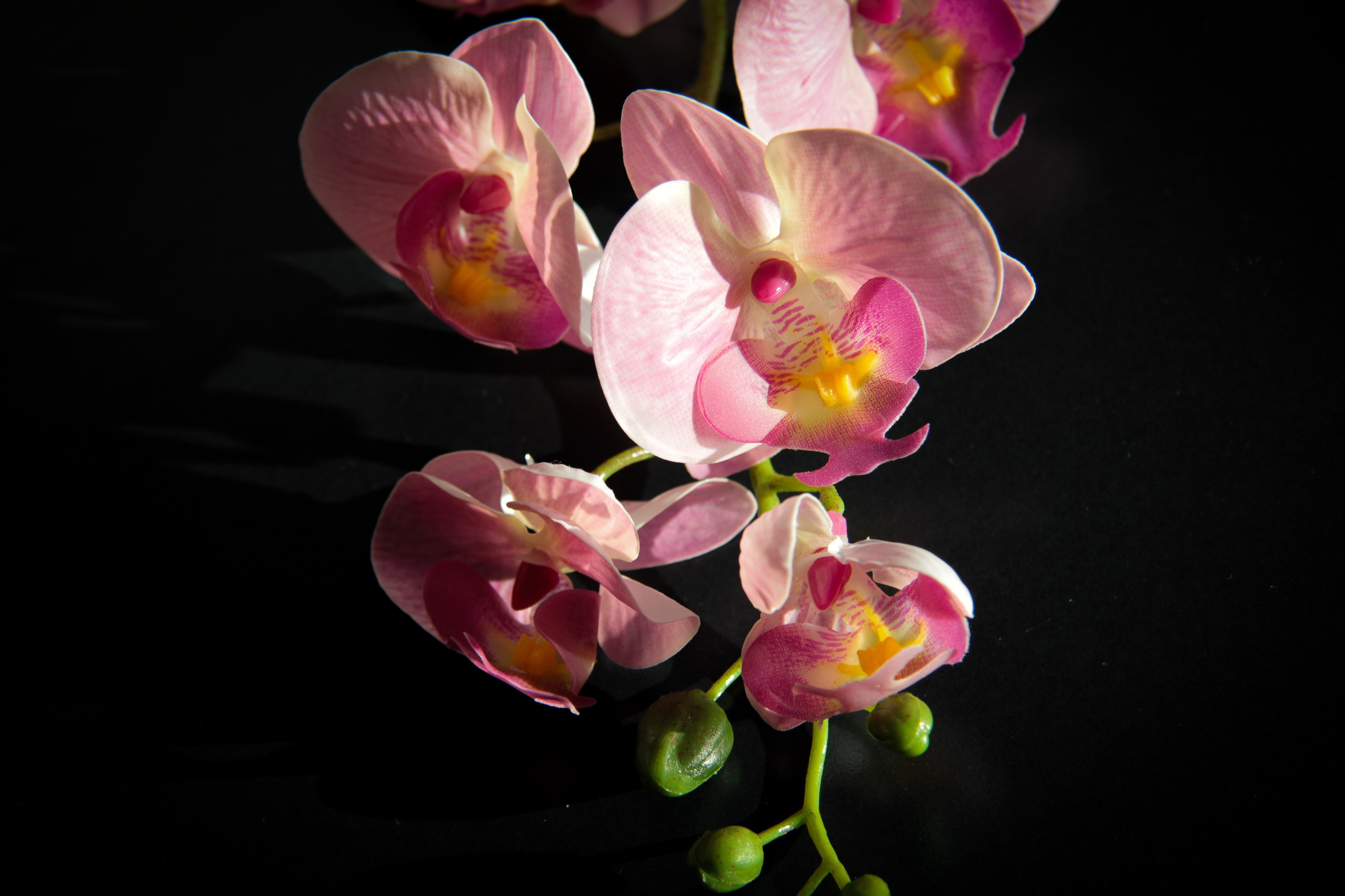 Luxury floral rental arrangement